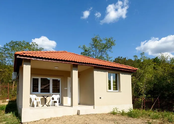 Magic Life ゲストハウス Vishna